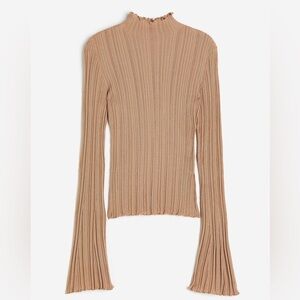 H&M Sheer ribbed Turtleneck Top